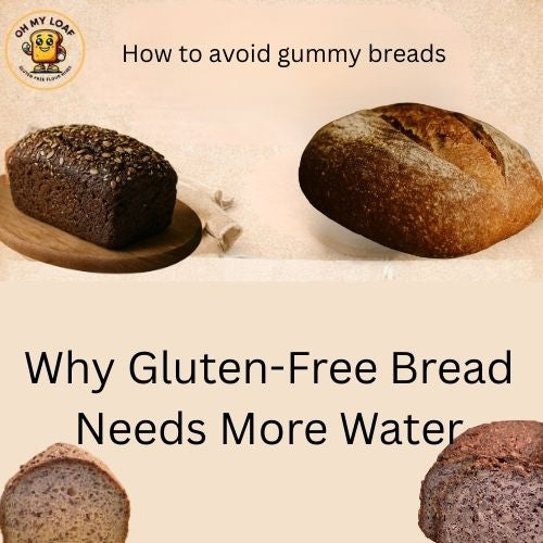 Why Gluten-Free Bread Needs More Water Than Wheat Bread